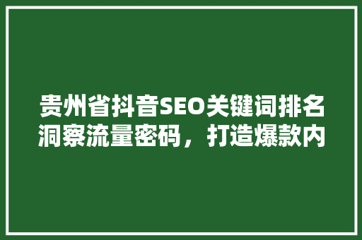 贵州省抖音SEO关键词排名洞察流量密码，打造爆款内容 网站建设公司