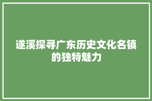 遂溪探寻广东历史文化名镇的独特魅力 神马SEO