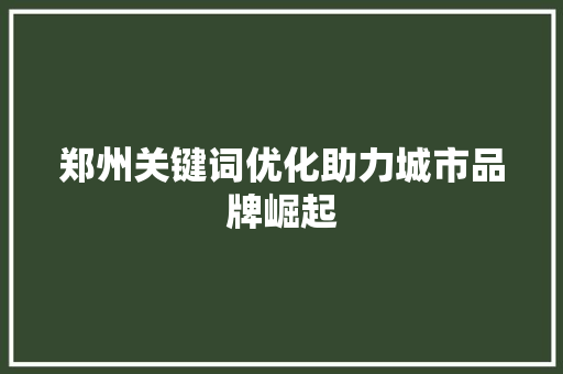 郑州关键词优化助力城市品牌崛起 搜狗SEO