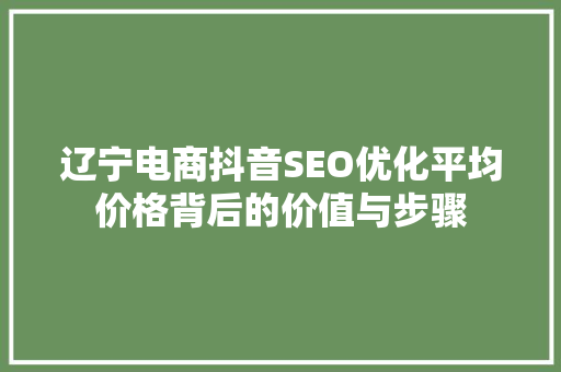 辽宁电商抖音SEO优化平均价格背后的价值与步骤 SEO关键词