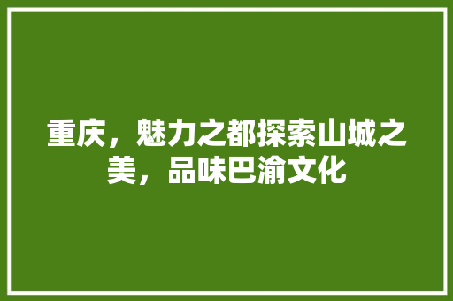 重庆，魅力之都探索山城之美，品味巴渝文化 必应SEO