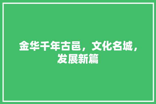 金华千年古邑，文化名城，发展新篇 神马SEO