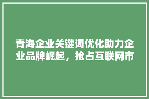 青海企业关键词优化助力企业品牌崛起，抢占互联网市场先机