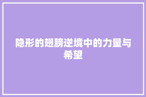 隐形的翅膀逆境中的力量与希望