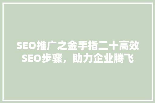 SEO推广之金手指二十高效SEO步骤，助力企业腾飞 网站建设公司