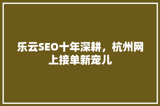 乐云SEO十年深耕，杭州网上接单新宠儿 网站建设公司