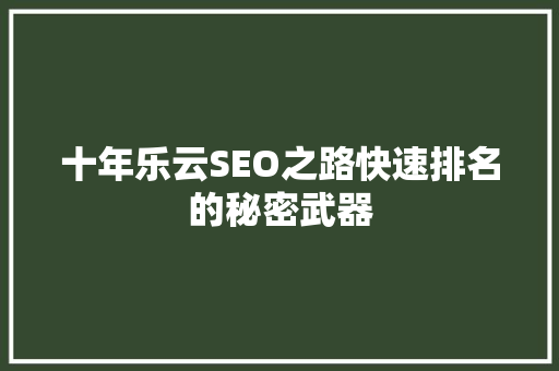 十年乐云SEO之路快速排名的秘密武器 百度SEO