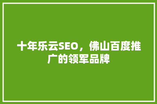 十年乐云SEO，佛山百度推广的领军品牌 百度SEO