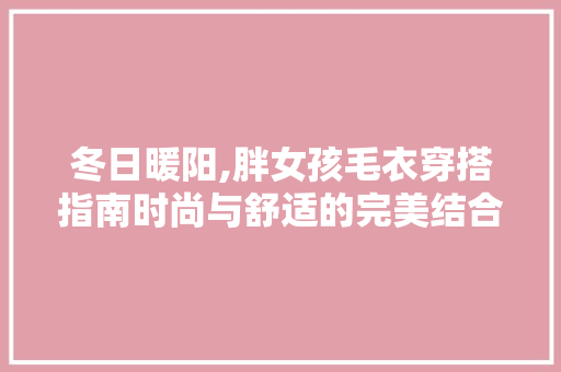 冬日暖阳,胖女孩毛衣穿搭指南时尚与舒适的完美结合 网站建设公司
