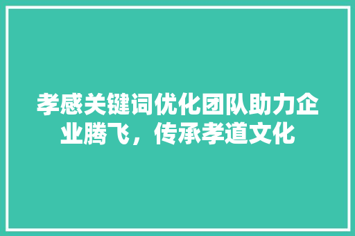 孝感关键词优化团队助力企业腾飞，传承孝道文化 必应SEO