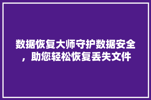 数据恢复大师守护数据安全，助您轻松恢复丢失文件 神马SEO