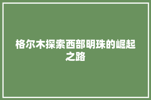 格尔木探索西部明珠的崛起之路 必应SEO