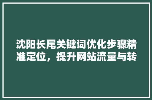 沈阳长尾关键词优化步骤精准定位，提升网站流量与转化率 搜狗SEO