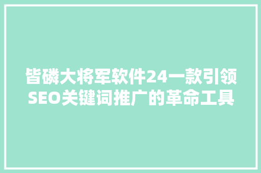 皆磷大将军软件24一款引领SEO关键词推广的革命工具
