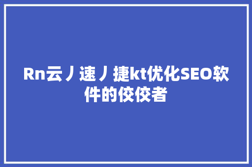 Rn云丿速丿捷kt优化SEO软件的佼佼者