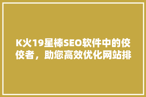 K火19星棒SEO软件中的佼佼者，助您高效优化网站排名 网站建设公司