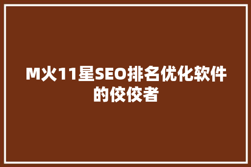 M火11星SEO排名优化软件的佼佼者 神马SEO