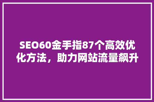 SEO60金手指87个高效优化方法，助力网站流量飙升 百度SEO