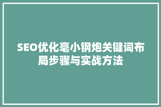 SEO优化毫小钢炮关键词布局步骤与实战方法 SEO关键词