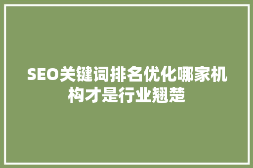 SEO关键词排名优化哪家机构才是行业翘楚 SEO关键词