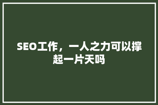 SEO工作，一人之力可以撑起一片天吗 百度SEO