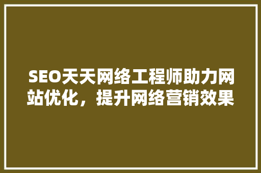 SEO天天网络工程师助力网站优化，提升网络营销效果 必应SEO