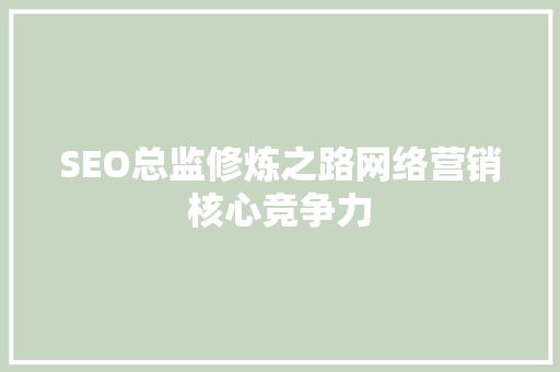 SEO总监修炼之路网络营销核心竞争力 必应SEO