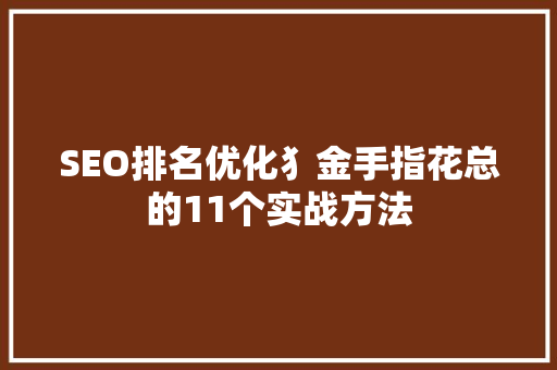 SEO排名优化犭金手指花总的11个实战方法 SEO关键词