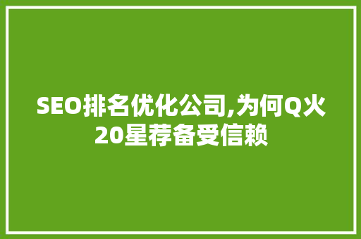 SEO排名优化公司,为何Q火20星荐备受信赖