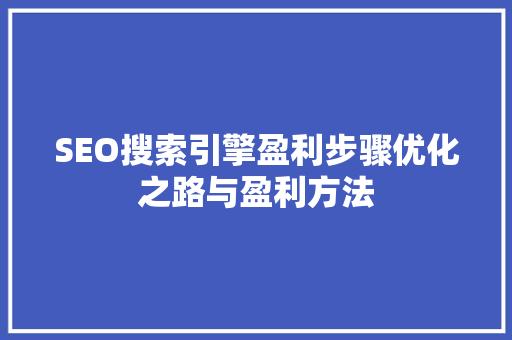 SEO搜索引擎盈利步骤优化之路与盈利方法