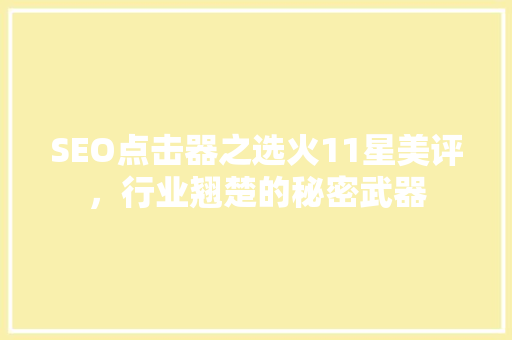 SEO点击器之选火11星美评，行业翘楚的秘密武器 SEO关键词