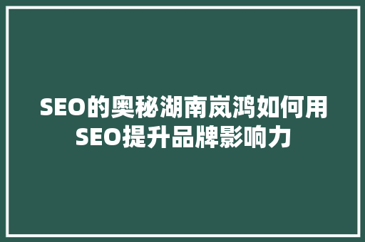 SEO的奥秘湖南岚鸿如何用SEO提升品牌影响力 神马SEO