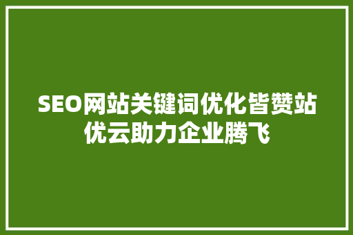 SEO网站关键词优化皆赞站优云助力企业腾飞 网站建设公司