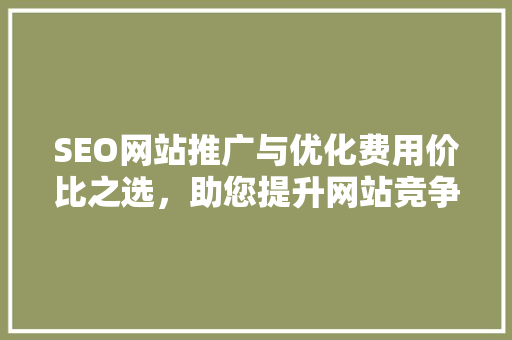 SEO网站推广与优化费用价比之选，助您提升网站竞争力 网站建设公司