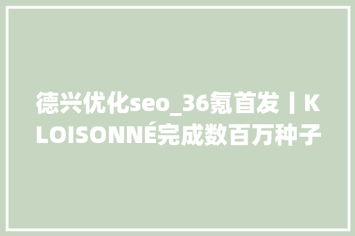 德兴优化seo_36氪首发丨KLOISONNÉ完成数百万种子轮融资以掐丝珐琅工艺打造精品手袋 德兴优化seo_36氪首发丨KLOISONNÉ完成数百万种子轮融资以掐丝珐琅工艺打造精品手袋 网站建设公司
