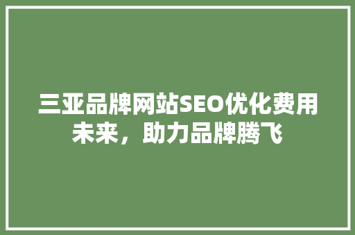 三亚品牌网站SEO优化费用未来，助力品牌腾飞 搜狗SEO