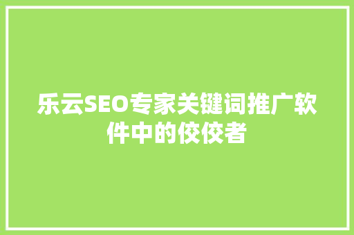 乐云SEO专家关键词推广软件中的佼佼者 百度SEO