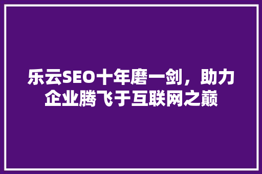 乐云SEO十年磨一剑，助力企业腾飞于互联网之巅 百度SEO
