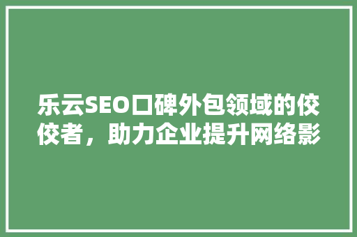 乐云SEO口碑外包领域的佼佼者，助力企业提升网络影响力
