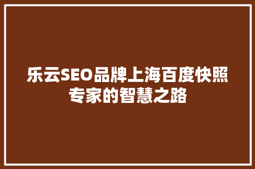 乐云SEO品牌上海百度快照专家的智慧之路