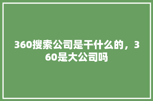 360搜索公司是干什么的，360是大公司吗