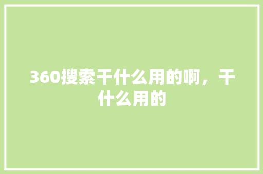 360搜索干什么用的啊，干什么用的