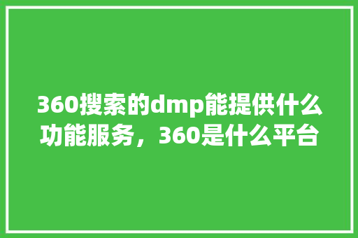 360搜索的dmp能提供什么功能服务，360是什么平台 神马SEO