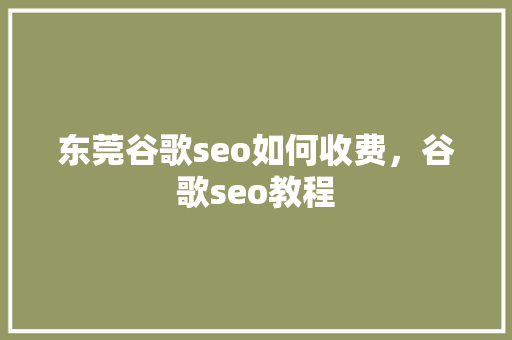 东莞谷歌seo如何收费，谷歌seo教程