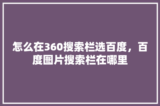 怎么在360搜索栏选百度，百度图片搜索栏在哪里