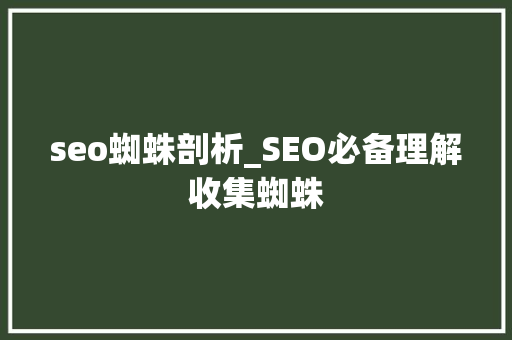 seo蜘蛛剖析_SEO必备理解收集蜘蛛 seo蜘蛛剖析_SEO必备理解收集蜘蛛 神马SEO