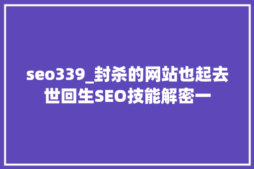 seo339_封杀的网站也起去世回生SEO技能解密一 seo339_封杀的网站也起去世回生SEO技能解密一 必应SEO