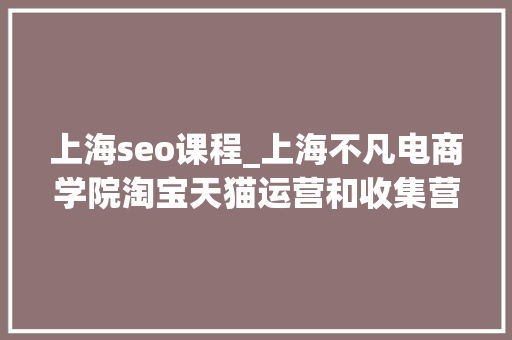 上海seo课程_上海不凡电商学院淘宝天猫运营和收集营销SEO课程集锦 上海seo课程_上海不凡电商学院淘宝天猫运营和收集营销SEO课程集锦 百度SEO
