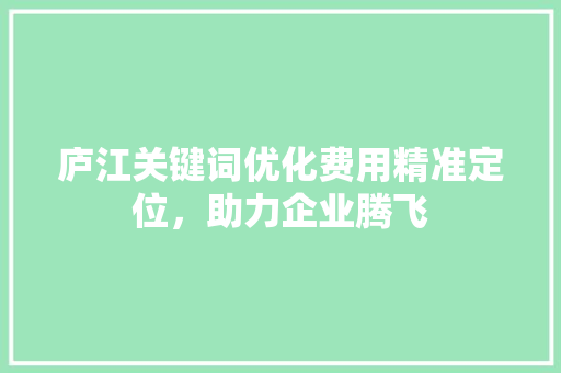 庐江关键词优化费用精准定位，助力企业腾飞