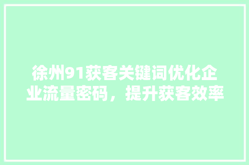 徐州91获客关键词优化企业流量密码，提升获客效率 搜狗SEO